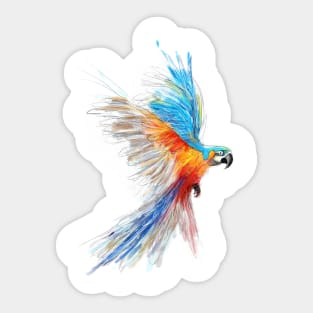 Parrot Sketch Sticker